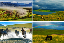 “游戏+文旅”构建融合新范式 数字IP持续赋能地域文化叙事丨新经济观察-紫竹林-程序员中文网