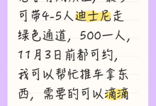 上海迪士尼现“免排队”?“残障爱心通道”成黄牛组团赚钱工具-紫竹林-程序员中文网