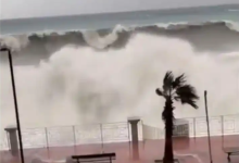 意大利多地遭强风暴侵袭：浪高约十米-紫竹林-程序员中文网