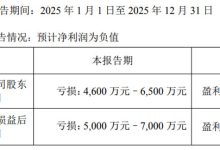 显盈科技 2025 年度业绩预告：预计净亏损 4600 万元 - 6500 万元 多因素致业绩下滑-紫竹林-程序员中文网
