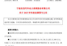 圣龙股份：预计2025年度归母净亏损1.81至2.19亿元-紫竹林-程序员中文网