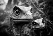 恐龙宝宝的至暗时刻-紫竹林-程序员中文网