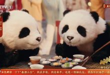 魔法原子机器人春晚“打工”画面,藏着2026年最大的风口-紫竹林-程序员中文网