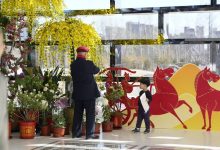 反季节牡丹、汉代马文化特展亮相通州路县故城遗址公园-紫竹林-程序员中文网