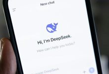 DeepSeek变冷淡了-紫竹林-程序员中文网