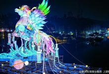 园博园水上灯会已火到国外 快来与胖唐马、飞马合影-紫竹林-程序员中文网