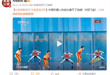 宇树科技机器人春晚大秀赛博武术！央视新闻：中国机器人进化像开了倍速 帅到飞起-紫竹林-程序员中文网