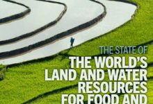 FAO：2025年全球粮农土地和水资源报告-紫竹林-程序员中文网