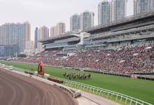 香港赛马会“马年赛马日”游客人数创新高,马年赛马共庆新春-紫竹林-程序员中文网