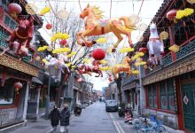 小年先玩一波！厂甸庙会、荷花市场预热活动来了-紫竹林-程序员中文网