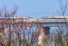 铁路12306已累计发售春运火车票超3.1亿张 返程客流高峰开启-紫竹林-程序员中文网