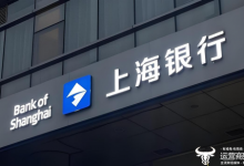 上海银行要“寻找利润之上的更高价值追求”  董事长顾建忠看重的不仅是利润？-紫竹林-程序员中文网