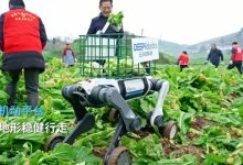 云深处机器狗正式下乡！帮涪陵农民收起了榨菜-紫竹林-程序员中文网