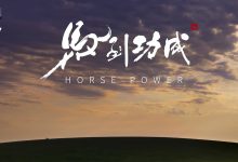 马年看马，全球首部生肖纪录大片《马到功成》今晚央视播出-紫竹林-程序员中文网