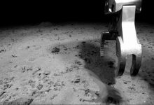 太平洋底发现数百新物种-紫竹林-程序员中文网