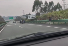 高速上SUV溜车 车主应急车道上狂追 网友：这实习标一点不冤枉-紫竹林-程序员中文网