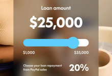 PayPal 再曝安全漏洞，持续泄露用户隐私近半年-紫竹林-程序员中文网
