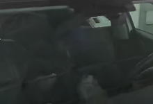 尴尬！男子驾车返乡竟被猫咪锁在车外：结局竟神反转-紫竹林-程序员中文网