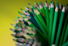 教育部称将有序推进中考改革：减少死记硬背和机械式刷题 回归育人本质-紫竹林-程序员中文网