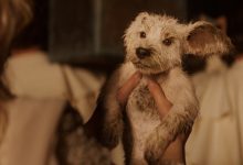 DCU 新作《超级少女》首曝中字超级碗预告，“超狗”小氪回归-紫竹林-程序员中文网