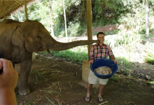 研究大象粪便9年 他做出全球最贵象屎咖啡-紫竹林-程序员中文网