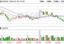 比亚迪：1月新能源汽车销量210051辆 同比下降30.11%-紫竹林-程序员中文网