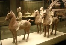 为什么马、驴、骆驼都可以用来骑乘 唯独不见有人驯化鹿来骑-紫竹林-程序员中文网