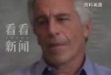 视频|爱泼斯坦最新文件公开！马斯克被曝曾多次求着上岛，还询问哪一晚最疯狂，本人回应:是我在努力推动公开-紫竹林-程序员中文网