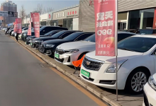 中国车企 要接受新车销量“仅微涨”的新常态-紫竹林-程序员中文网