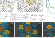 华人团队造出会呼吸的智能晶体，或革新传感器与光学设备-紫竹林-程序员中文网