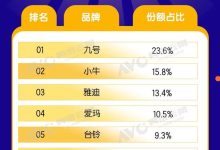 2025线上电动车排名出炉:九号第一、小牛第二-紫竹林-程序员中文网