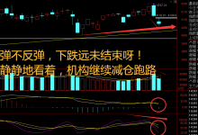 绿中一点红!三大指数齐跌,农业股惊现批量涨停-紫竹林-程序员中文网