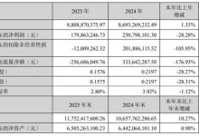 创维数字2025年营收88.09亿元 智能终端与专业显示业务协同发展-紫竹林-程序员中文网