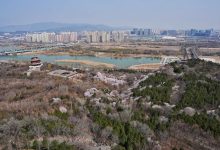 北京园博园八成桃花已“上色”，永定塔正式开放-紫竹林-程序员中文网