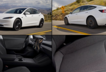 官方辟谣！特斯拉Model 3标准版将登陆中国为不实信息-紫竹林-程序员中文网