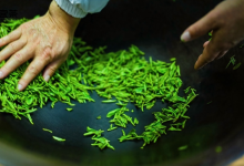 特色春茶“出圈”，中国名茶“出海”，中式茶饮在电商平台全球“圈粉”-紫竹林-程序员中文网