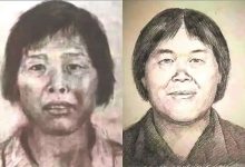 一文读懂“梅姨案”始末 9名被拐孩子已全部找回-紫竹林-程序员中文网