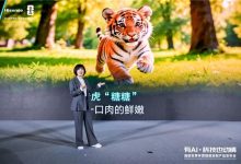 海信璀璨650U8发布 世界杯定制冰箱解锁高端储鲜新标杆-紫竹林-程序员中文网