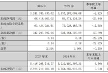 深纺织2025 年营收32.41亿元 聚焦偏光片主业推进高质量发展-紫竹林-程序员中文网