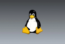 Linux 7.0 RC6 发布，Torvalds 对异常多的补丁数量表示担忧-紫竹林-程序员中文网