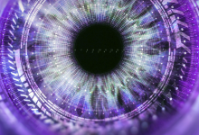 Entrust:2026年全球后量子及密码安全趋势报告-紫竹林-程序员中文网