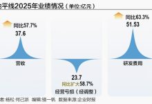 一年烧掉23个亿,地平线寻求错位突围-紫竹林-程序员中文网