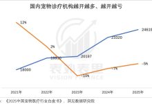 买猫500、治病5000,年轻人抛弃宠物医院-紫竹林-程序员中文网