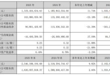 高盟新材2025年营收13.19亿元 聚焦 “3+1” 战略深耕新材料领域-紫竹林-程序员中文网