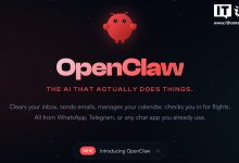 速看！国家互联网应急中心等发布 OpenClaw 安全使用实践指南-紫竹林-程序员中文网