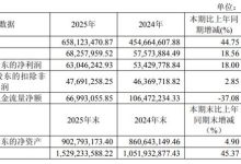 中润光学2025年营收6.58亿元同比增44.75% 构建 