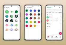 曝 WhatsApp 测试 Plus 可选付费计划，提供自定义图标、主题等服务-紫竹林-程序员中文网