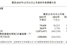 MiniMax2025年业绩报:营收7903.8万美元,同比增长158.9%-紫竹林-程序员中文网