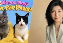 把“空当接龙”改造成竞技手游，一位华人女性做出了全球排名前40的手游公司-紫竹林-程序员中文网
