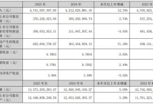 北京君正2025年业绩稳增 营收47.41亿元 深耕集成电路领域加码 AI 存储布局-紫竹林-程序员中文网